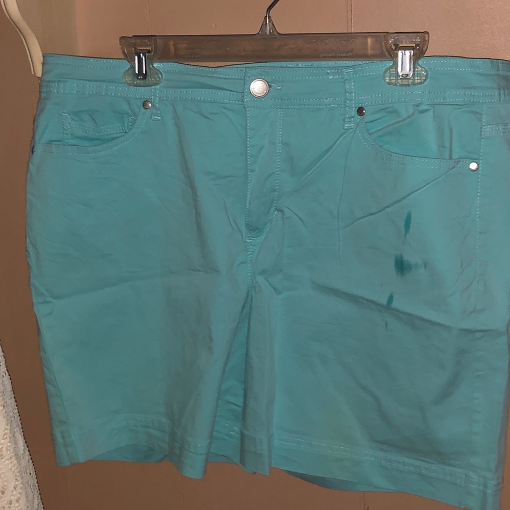 Mint colored Bandoline size 16 women’s shorts